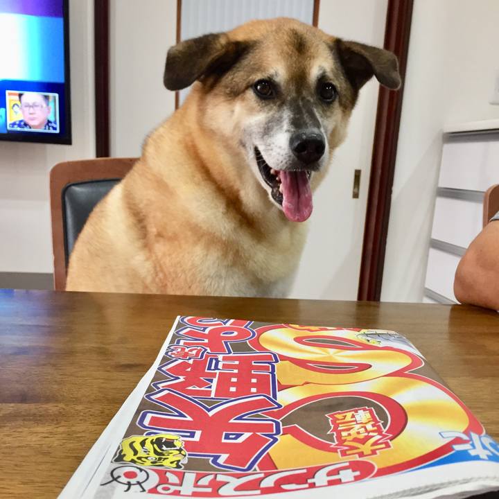 Af6ff217 3db2 47d1 9236 217c8c2ebffe 1569885416478