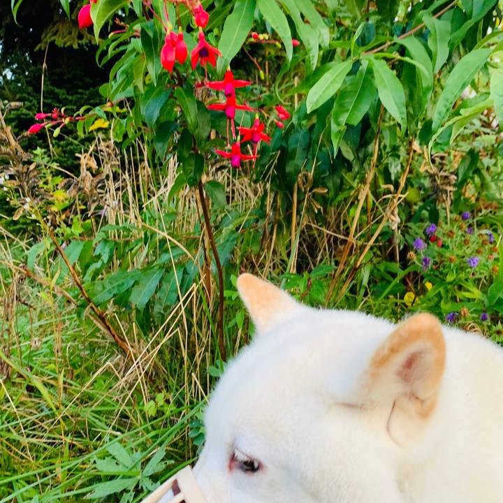 Af701379 378a 4716 8785 de825096e58b 1601675150107