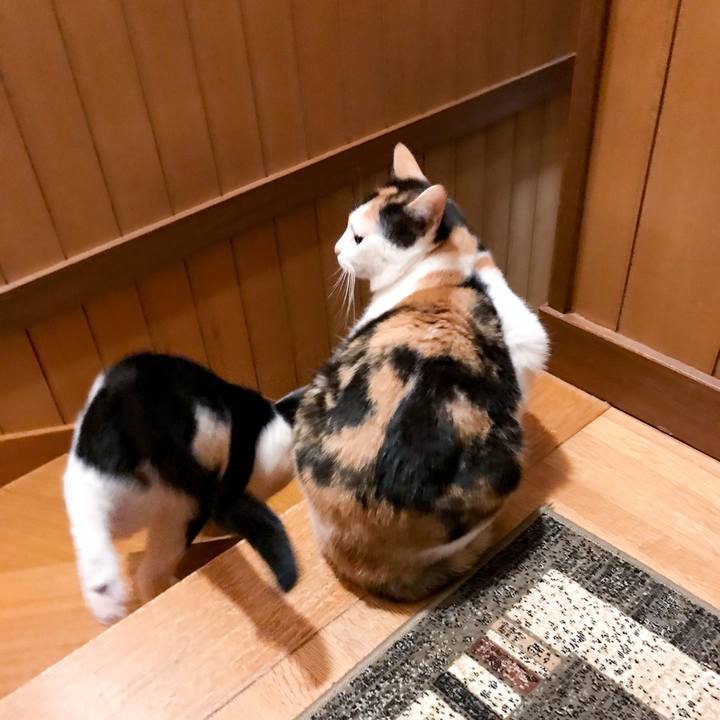 Af701716 f395 423e aca8 9aaf734d8d6d 1516755135860