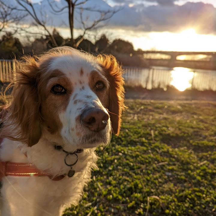 Af70214b ae37 42e8 bbaa 79db32abd0b5 1644580358113