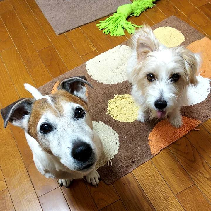 Af703838 d73c 43b4 aae6 d3134784e842 1542665014560