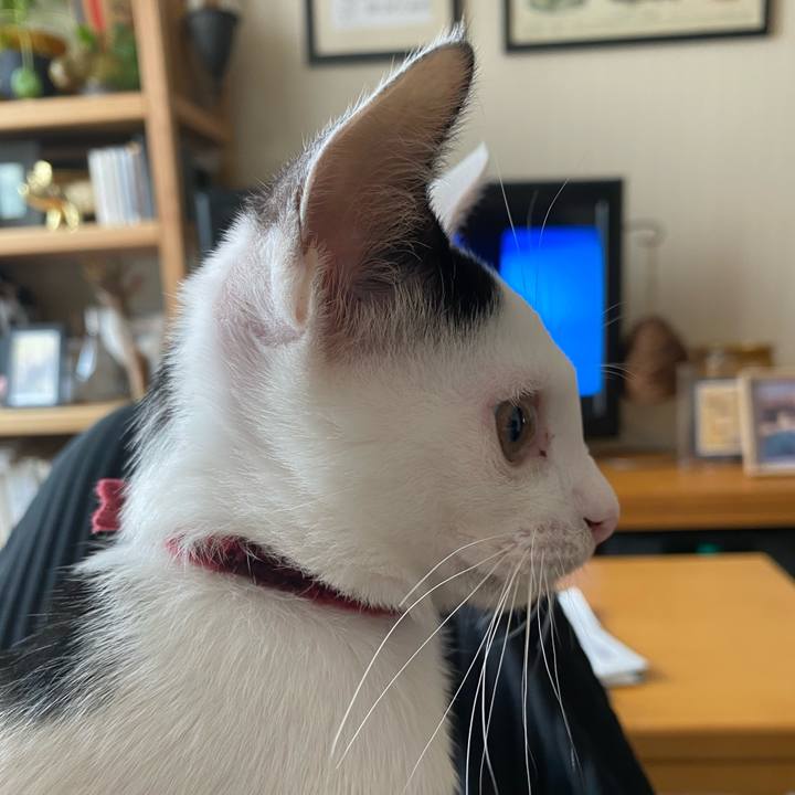 Af703c3f 227b 40d5 8cb4 e6b12a024045 1665192535603