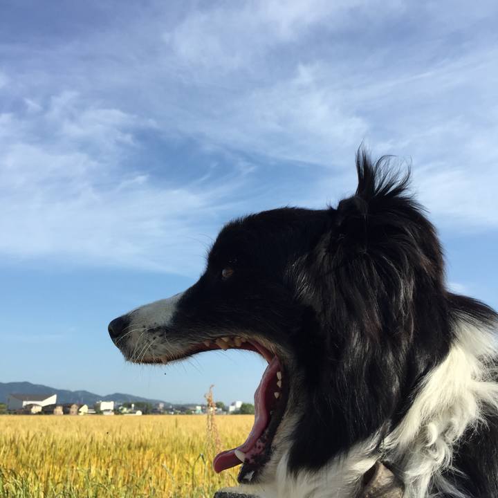 Af70558c 2f62 4812 87fd 5ba7dfaef790 1558055108435