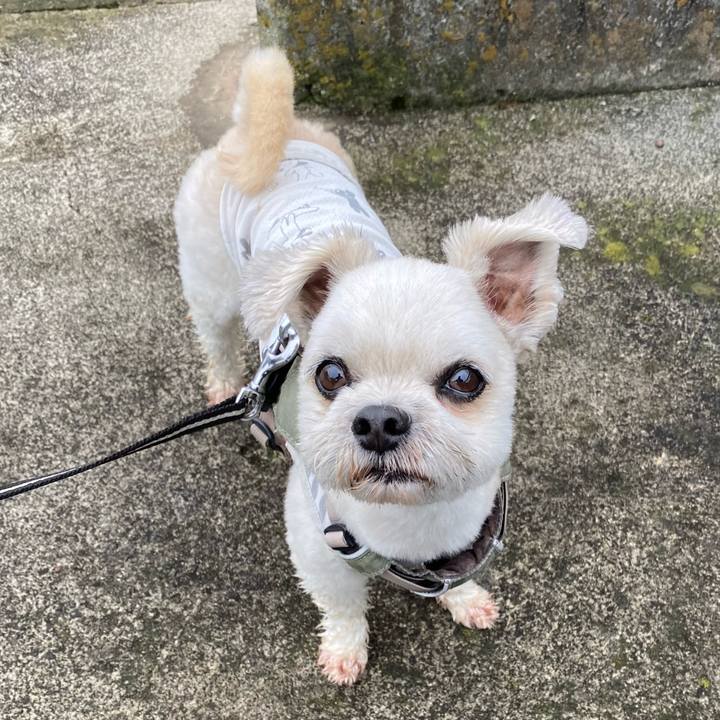 Af7079f7 caef 4b92 8ef7 45f96e8fbbc6 1659653250059