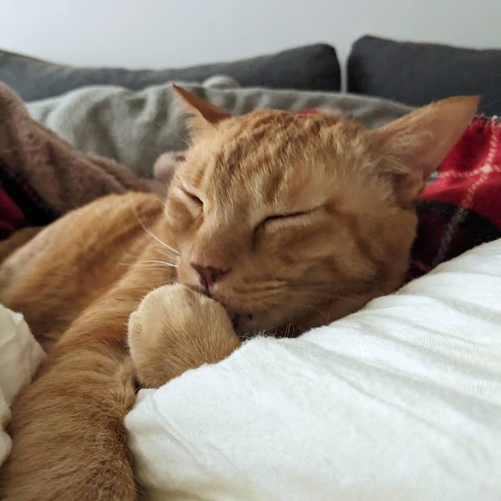 Af70ba16 c86f 4bb8 8717 60d7f89e4de7 1750845082827