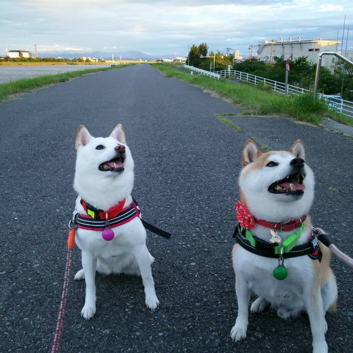 Af711dd9 beee 4fc5 838d 2ca2339efa88 1562495848915