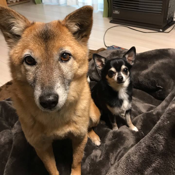 Af7137cc 352a 4229 aaf5 4d49001fb57f 1550997791389