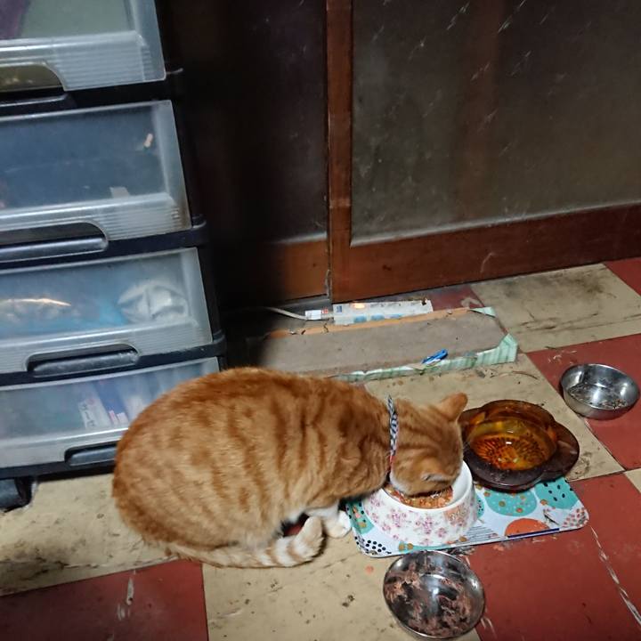 Af713f6d 7475 4152 a265 7f1edbced56a 1574366179535