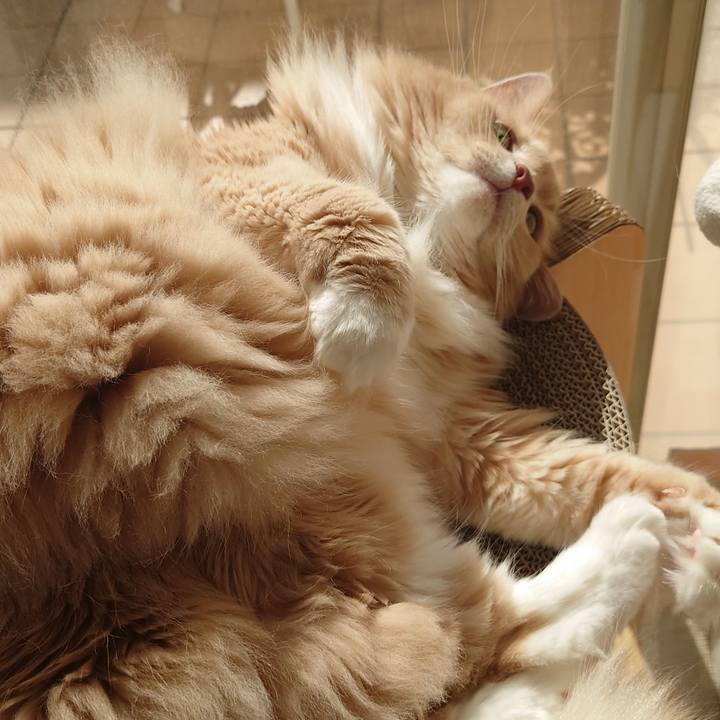 Af71532e 4ed4 4e23 ba2b 8397ed3d51b0 1698038398963