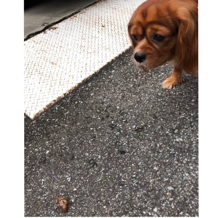 Af71565e 8f7d 4889 a2e9 e7d7b9443197 1564286260926