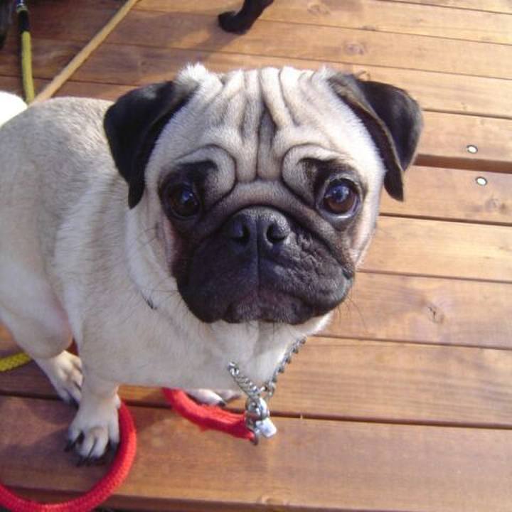 Af7168ea f219 426c 8df1 03d4f5d5ee2e 1547108237140