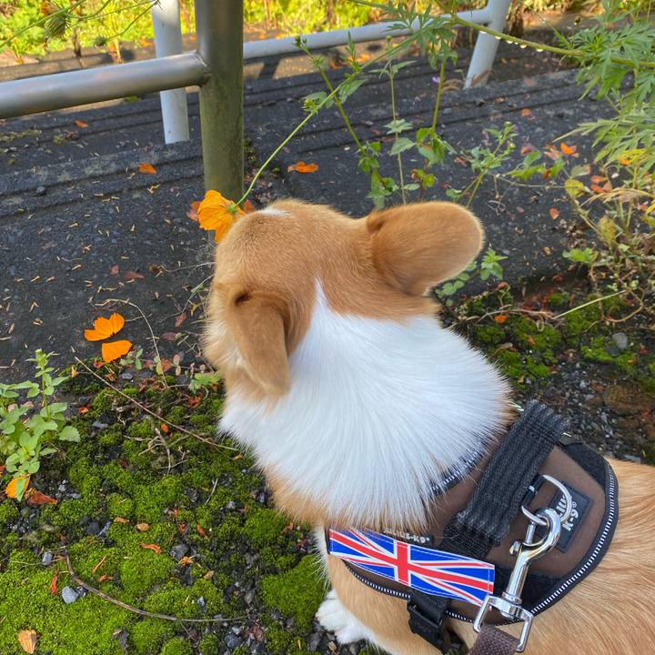 Af718846 475f 4add a39c a99f28741dfe 1633136513172