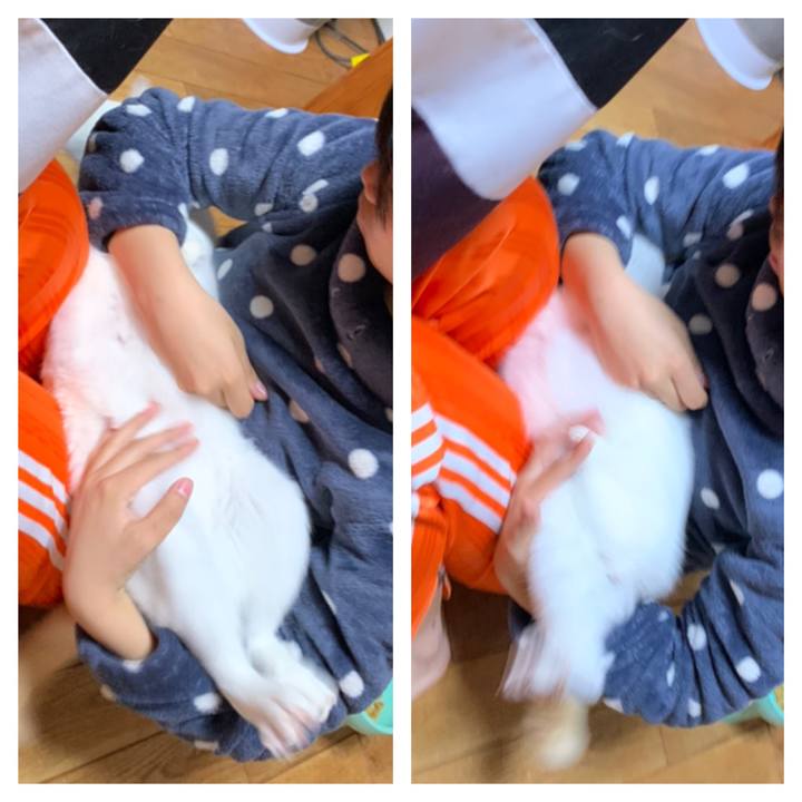 Af71d65e 3aa4 4dcd a138 0e20316545ec 1612270964093