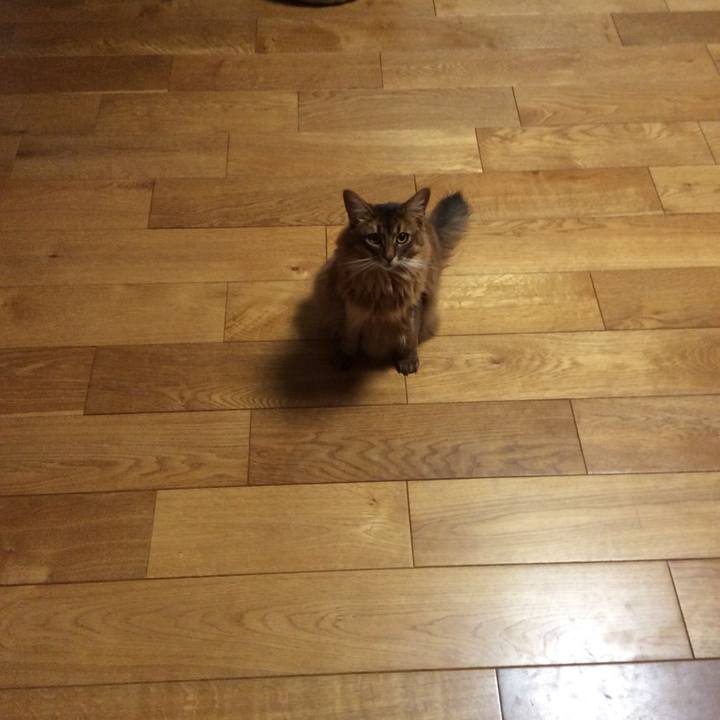 Af71f01a b108 4fa4 9160 d2deef0f3bae 1623741601282