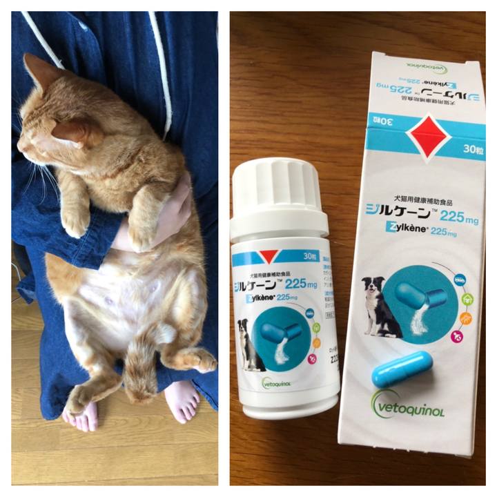 Af720c12 21fd 4d3b b295 396f9f7967c7 1653808836290