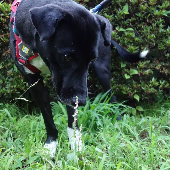 Af721c89 4b24 4cd4 b614 2de1f281111e 1592648965128