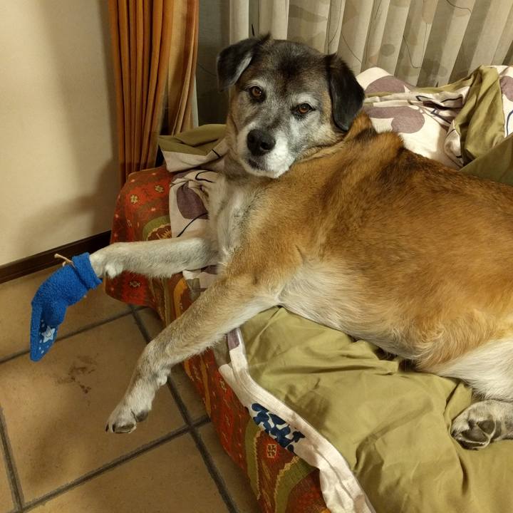 Af722f64 733b 4b4b b3a7 1ec108c3c76e 1550102315354