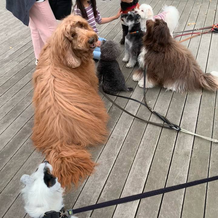 Af72387a 45b7 482f b558 a2b031f35d13 1682734942857