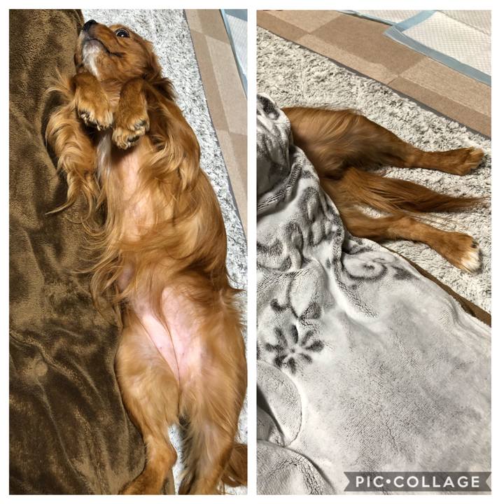 Af732922 9648 42c5 9cac feaedf70cf4d 1579558987387