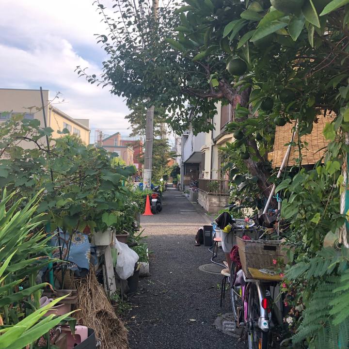 Af736466 a0cd 47df 8cb0 7506c9916acd 1567175521874