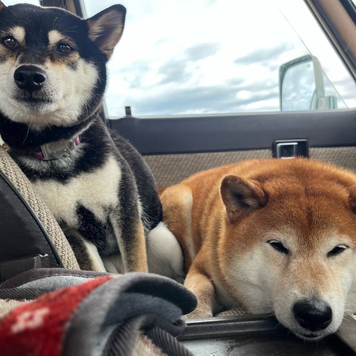 Af73741d bd4c 44ed b065 0d753afc8b4f 1656234746695