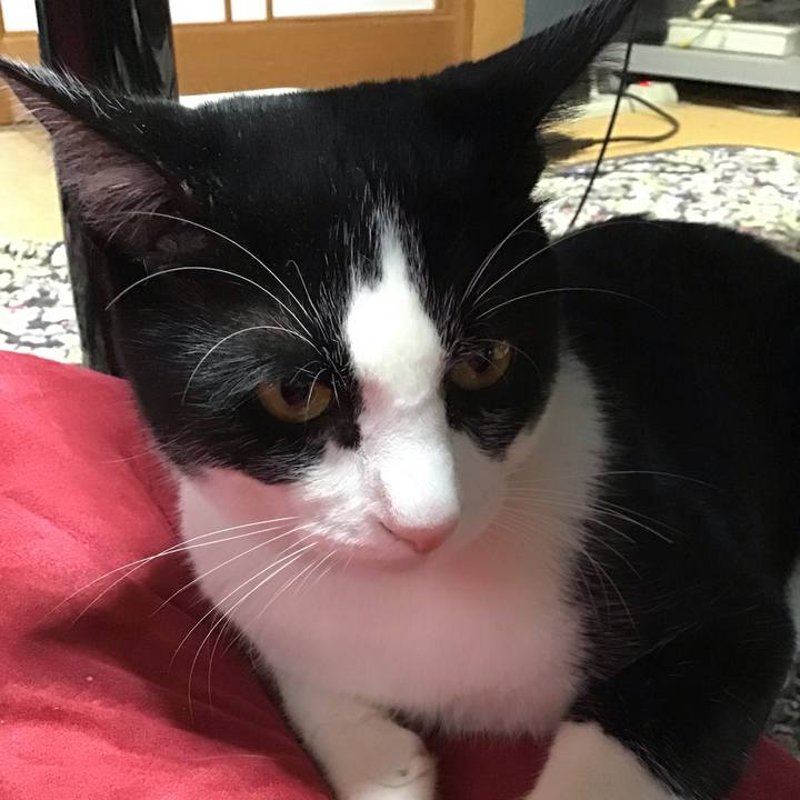 Af73a009 d409 4ef8 84d2 eb5b38aecce1 1655968682048