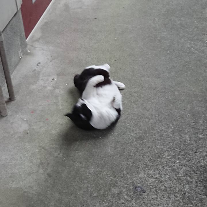 Af73b775 e679 4d38 9cf1 c85ae574c61a 1679386246767