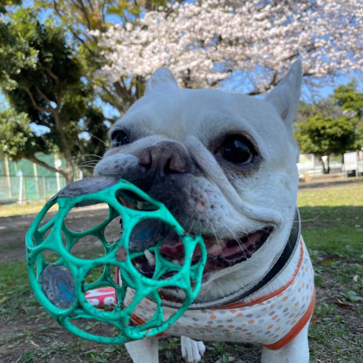 Af7450ad 8468 419e b817 ac5cf066368c 1744169702269