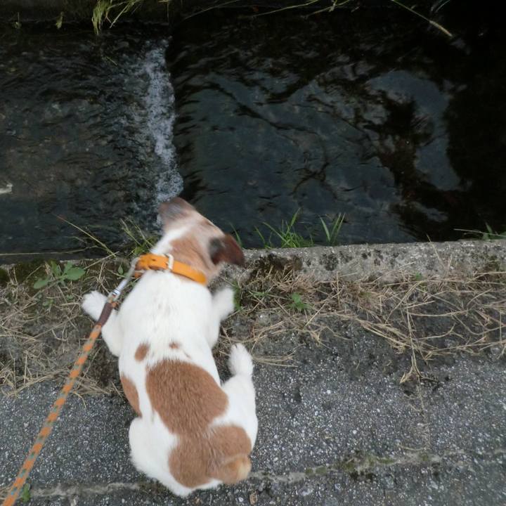 Af7495d2 3c0b 4384 a715 4625ca702a29 1562072330105