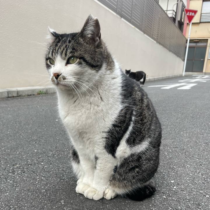 Af74b702 2e7f 41d7 858b 68e845031358 1644913637036