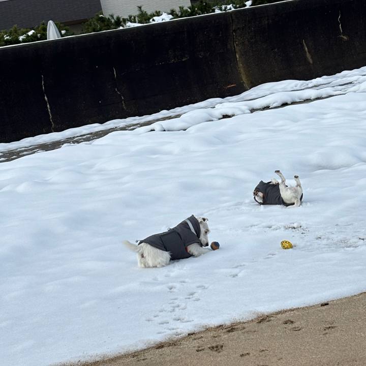 Af74b9a1 d557 42f8 a73d c58dcfb51fcd 1767494010817