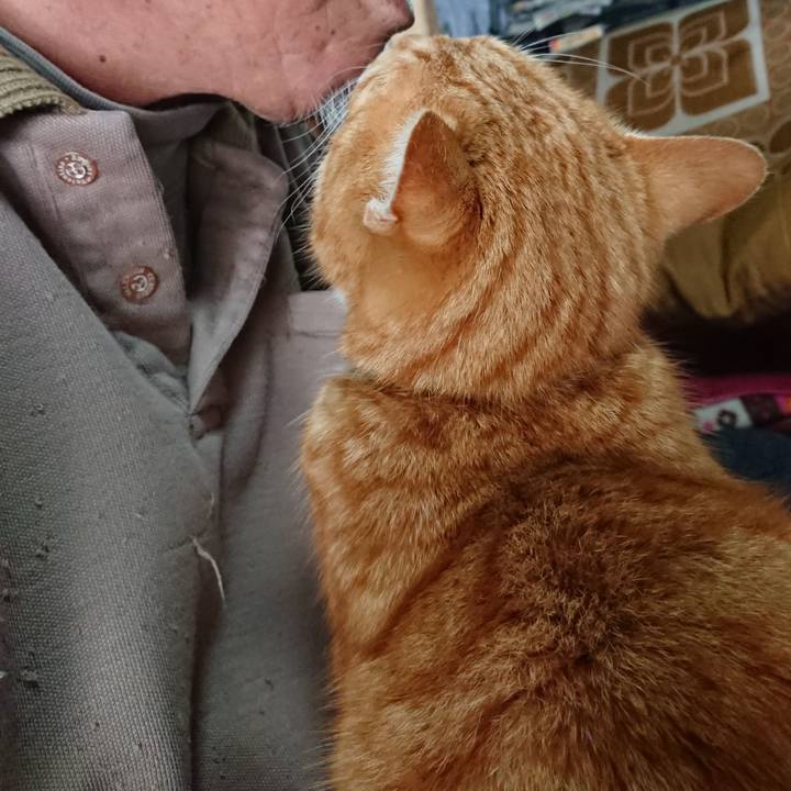 Af74c274 3ee3 4678 bde0 a607c52305c2 1581384150382