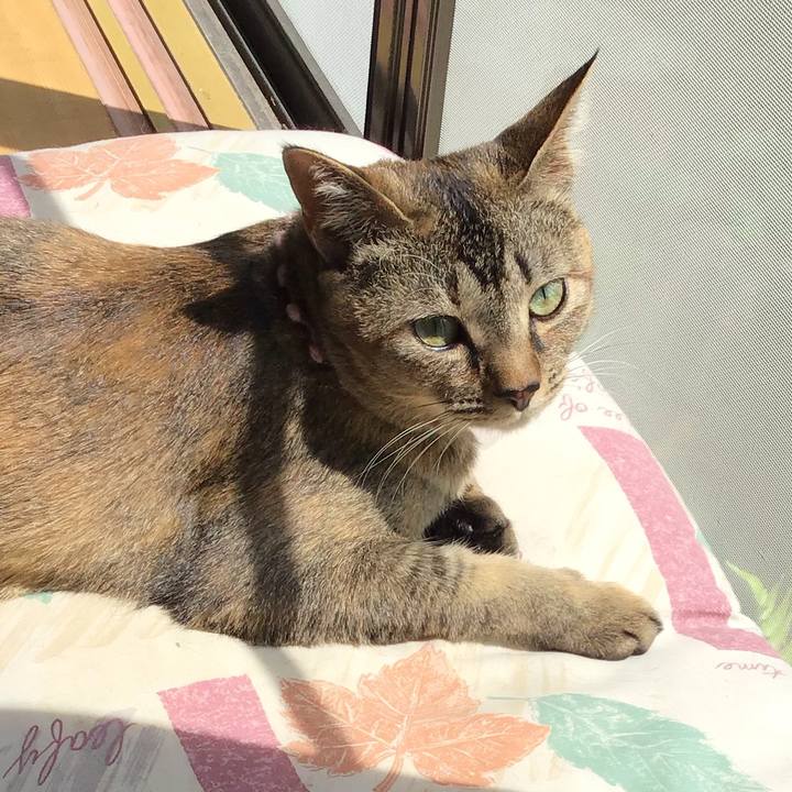 Af7525e8 5543 44e6 870b 4d7dd30e5900 1590628471352