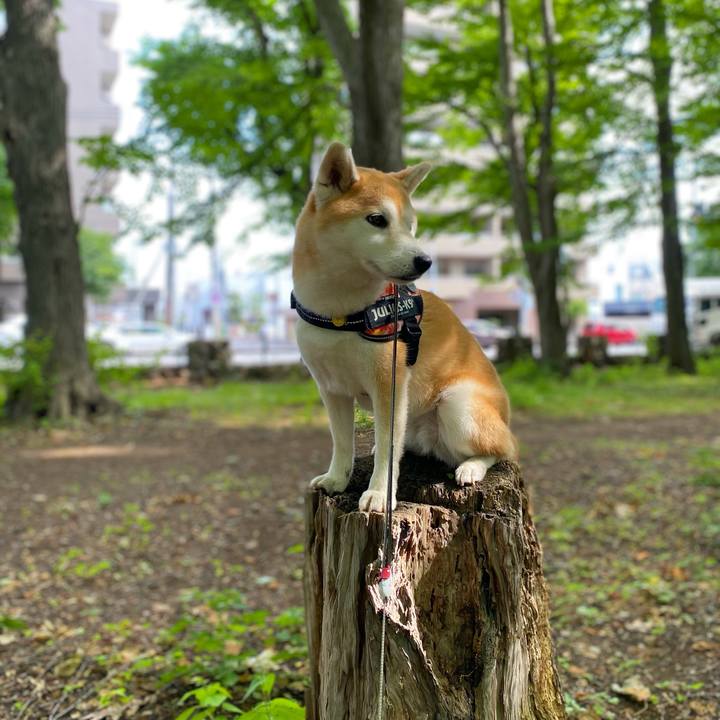 Af7548e4 901c 47f6 bdd8 67cef64a8be2 1625188309846