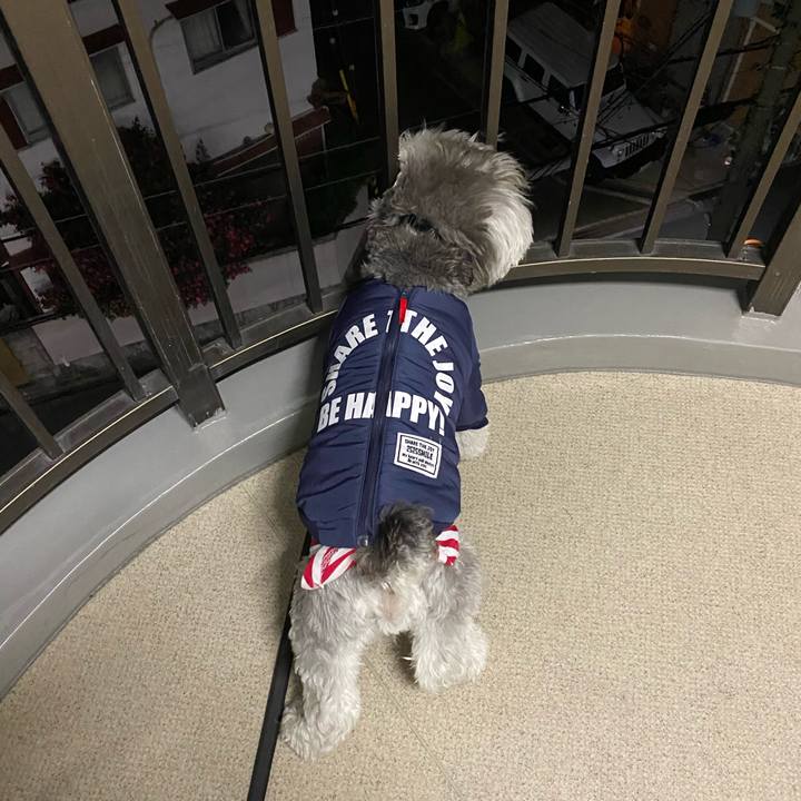 Af759807 d422 44d2 814c 4e63f30fd113 1608042798479