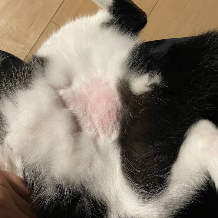 Af75a050 a774 4d30 951a c0455a71b68f 1688378929354