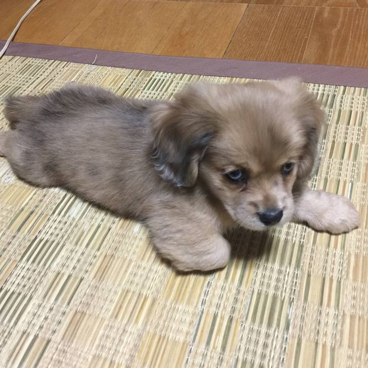 Af75c7e3 f654 4227 9ea0 c45bb4950050 1528112753646