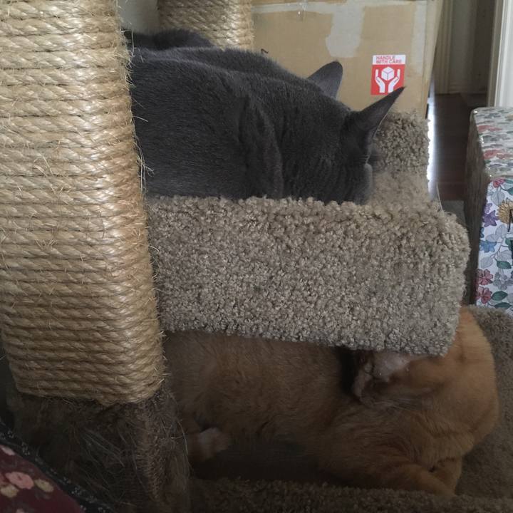 Af75db8c 2f10 4828 b317 63b20cdb342c 1645458902603