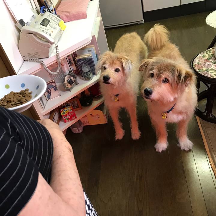 Af75e9b8 8a93 4291 b3ea 76887b227ddc 1565743166264