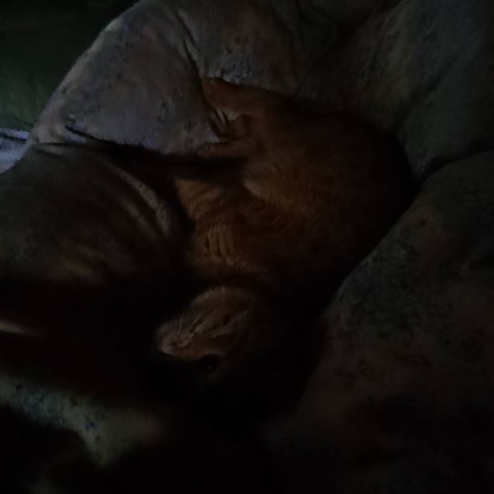 Af7606ab 5ec3 4223 8ad0 d43460545755 1658177031140