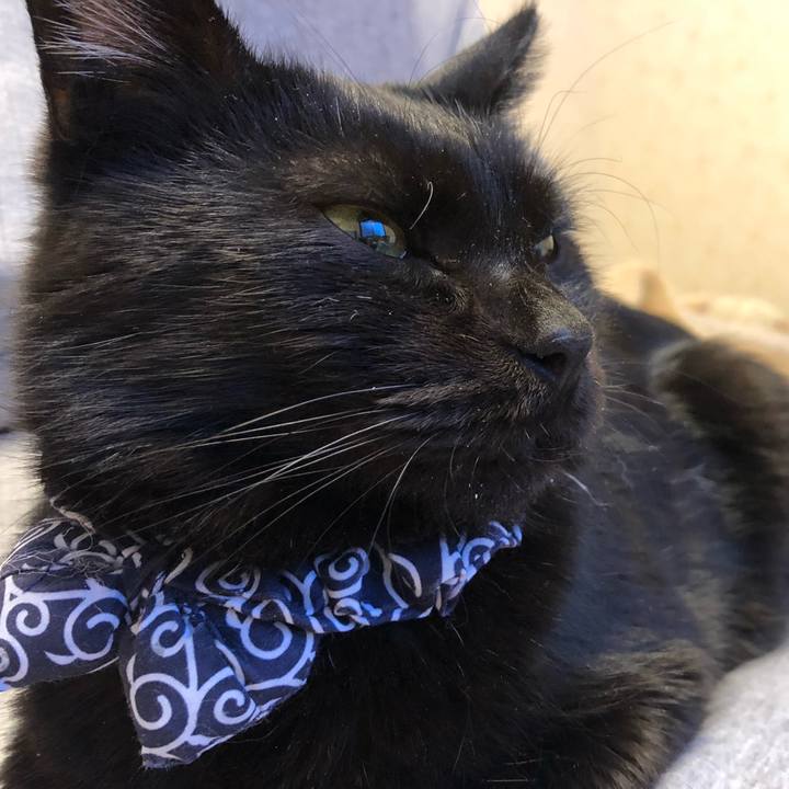 Af76147d d3bd 4cb4 a56e 4071b0402817 1576276945978