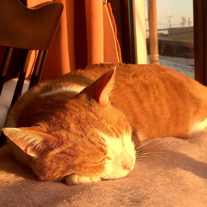 Af7619e6 5afa 431b 91b9 aadf811d9e46 1574754538035