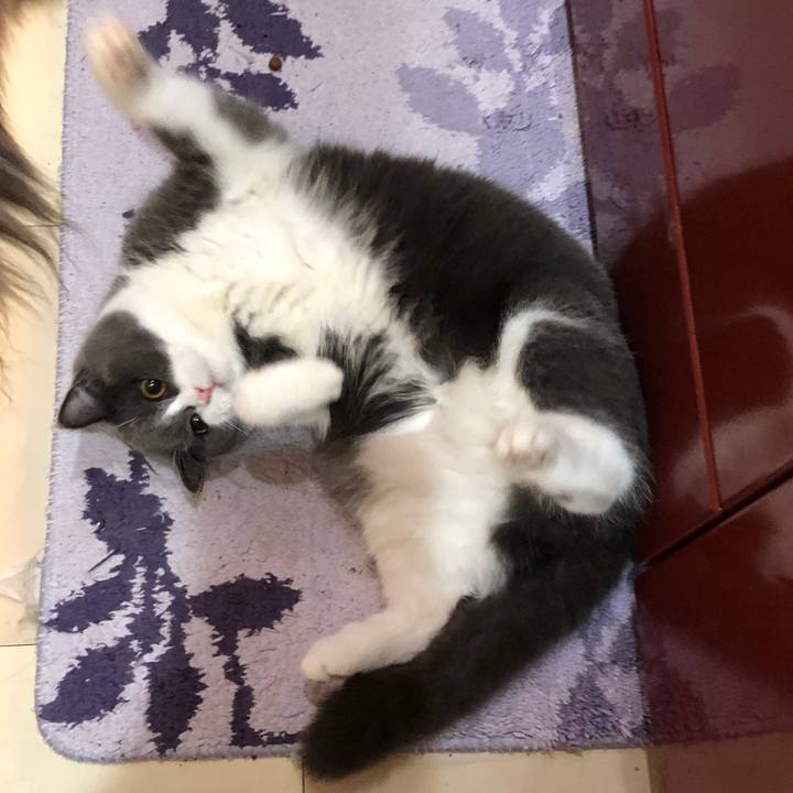 Af761bf3 0684 40e7 9851 ef34b8c96ed4 1549447099429