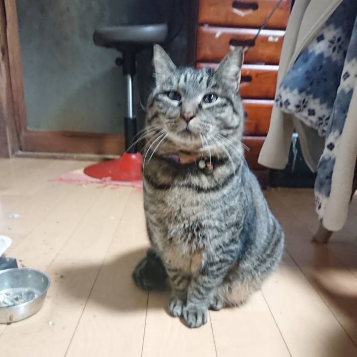 Af762864 2c7c 4fa1 a87f 0743981370aa 1643749681705