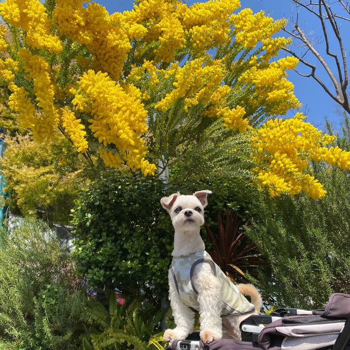 Af7648dc 09e6 488c 8312 5684c978354a 1649575693422