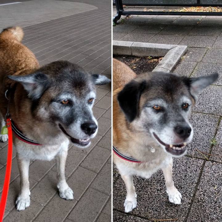 Af764ec2 6999 4a28 9ab2 808ab8221ecb 1533684145461