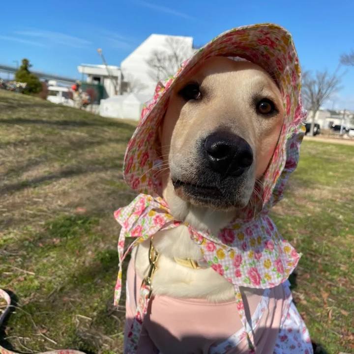 Af766448 4273 460a 9ebf a11b56a381c0 1651156037720