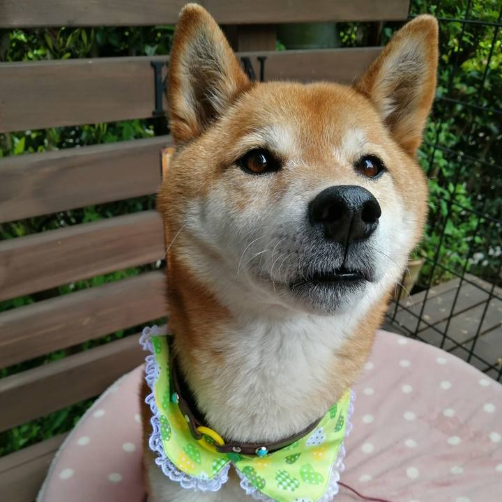 Af767aa1 6f90 4efc 8f3b a4e66baf9dd0 1651999227894