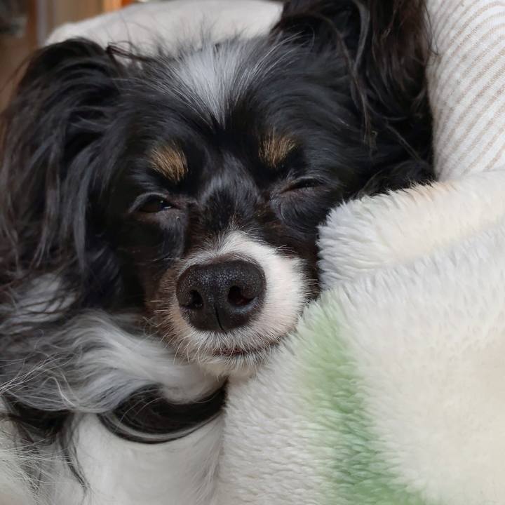 Af76871d 9c1e 4942 b0c2 1a24729fef3a 1547334190754