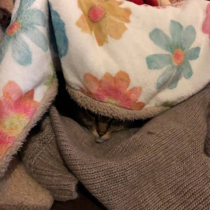 Af768b4f 53df 485e b730 8ef9846eec46 1610242432344